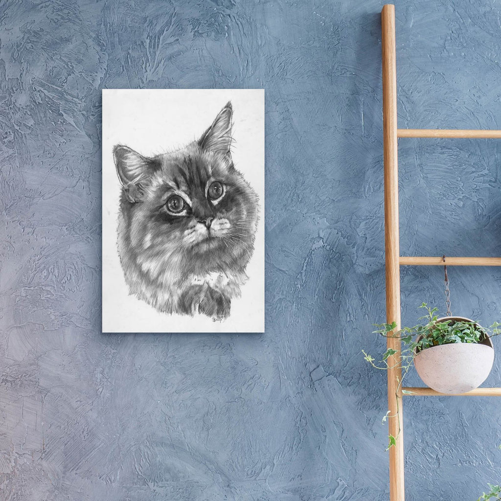 Kitty by Barbara Keith - 16x24 acrylic wall art in a room