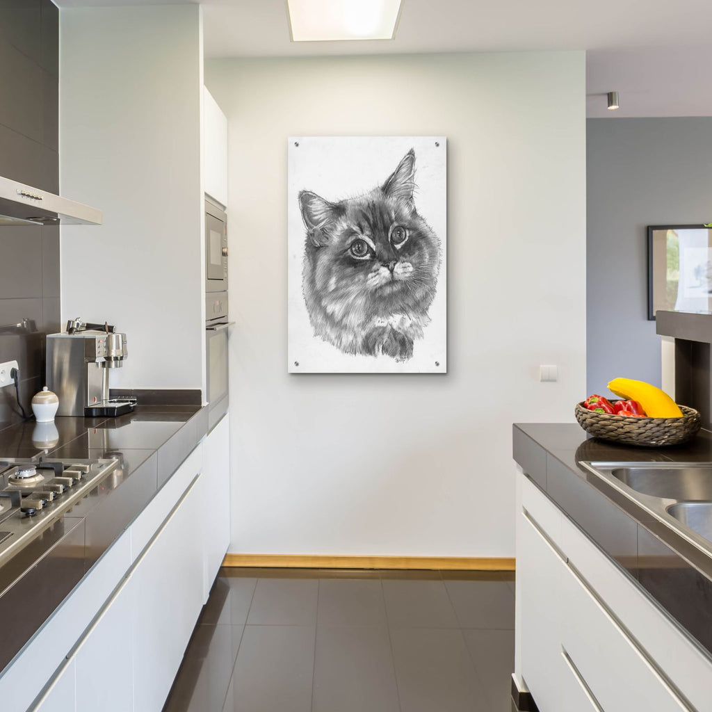 Kitty by Barbara Keith - 24x36 acrylic wall art in a room