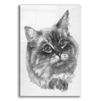 Kitty by Barbara Keith acrylic glass wall art