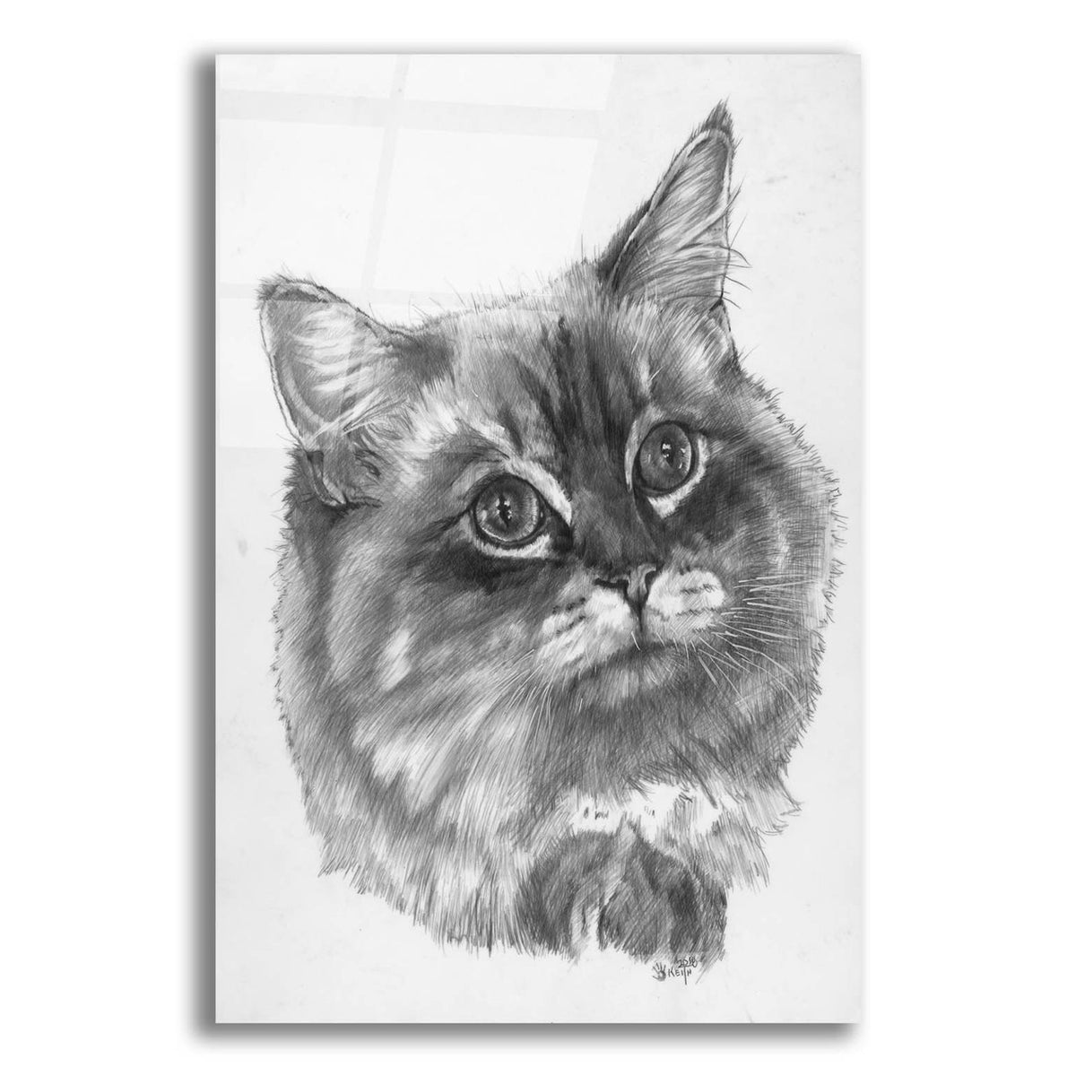 Kitty by Barbara Keith acrylic glass wall art
