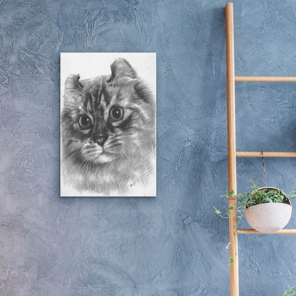 Lovely by Barbara Keith - 16x24 acrylic wall art in a room