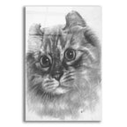 Lovely by Barbara Keith acrylic glass wall art