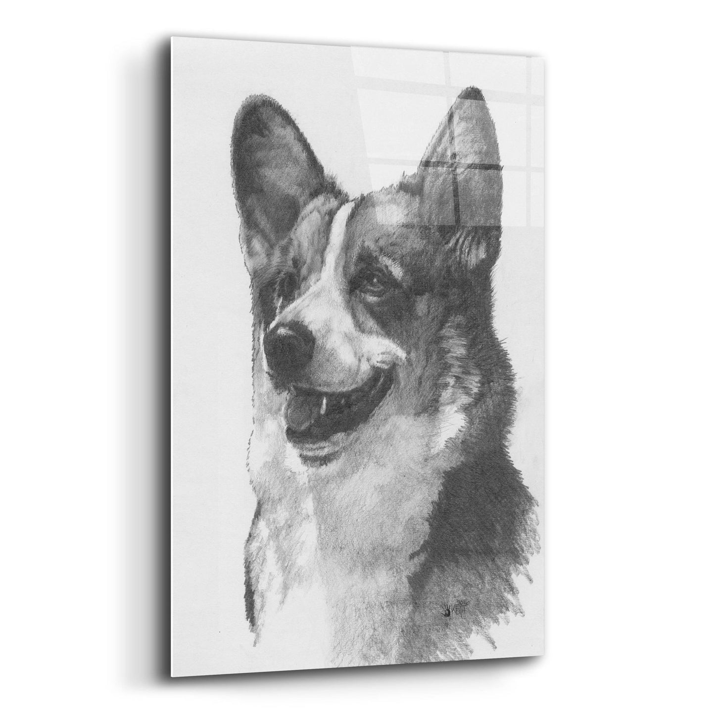 Epic Art 'Welsh Corgi' by Barbara Keith, Acrylic Glass Wall Art,12x16