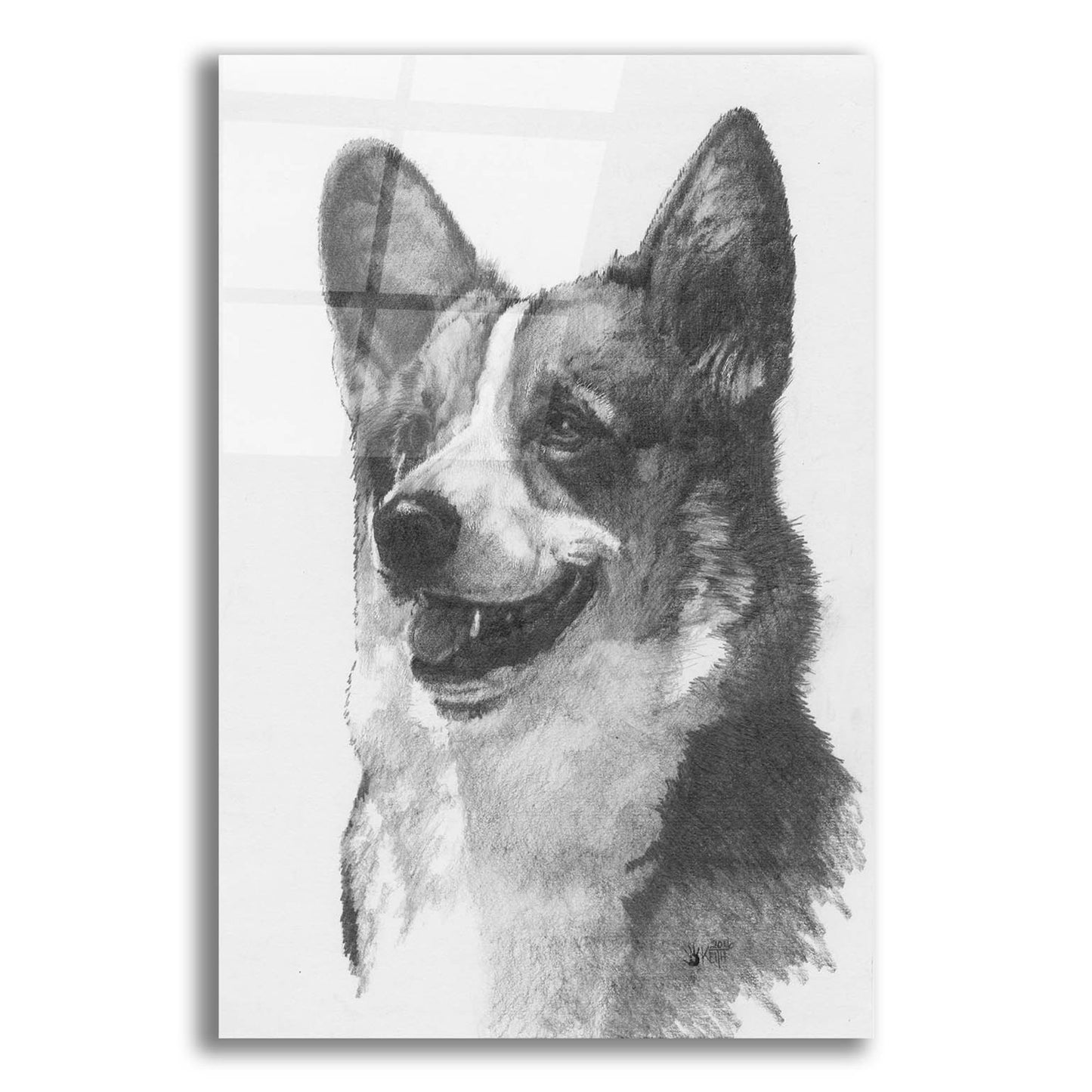 Epic Art 'Welsh Corgi' by Barbara Keith, Acrylic Glass Wall Art,12x16