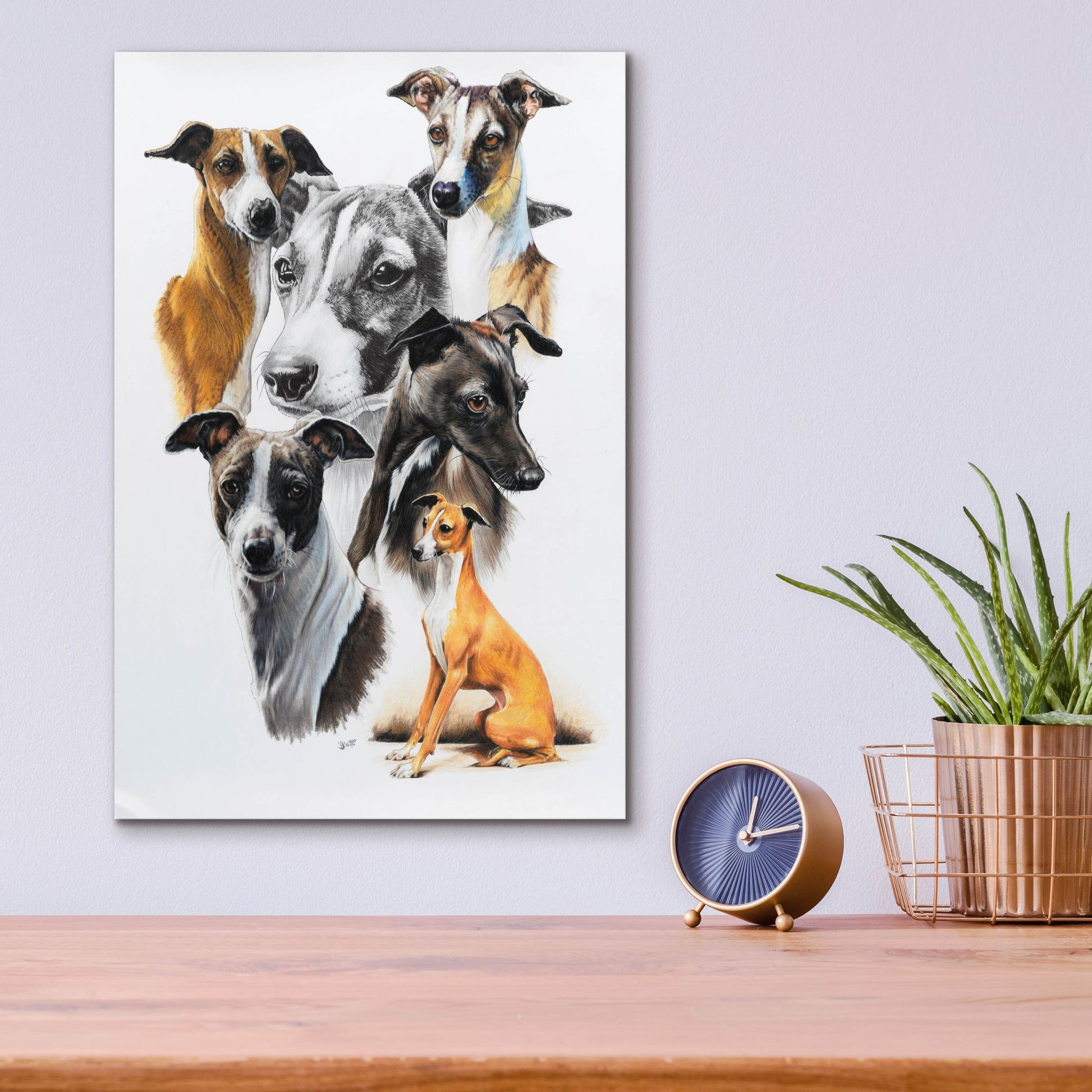 Epic Art 'Italian Greyhound Medley' by Barbara Keith, Acrylic Glass Wall Art,12x16