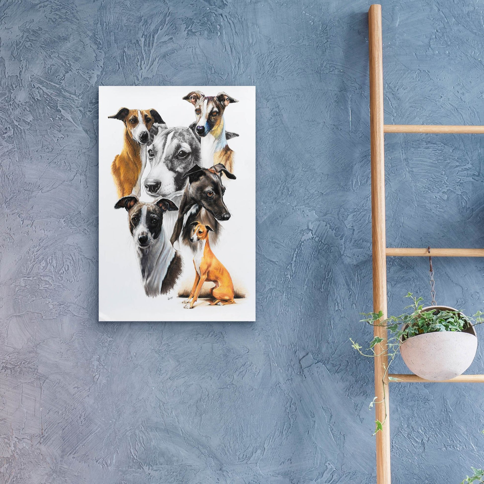 Epic Art 'Italian Greyhound Medley' by Barbara Keith, Acrylic Glass Wall Art,16x24