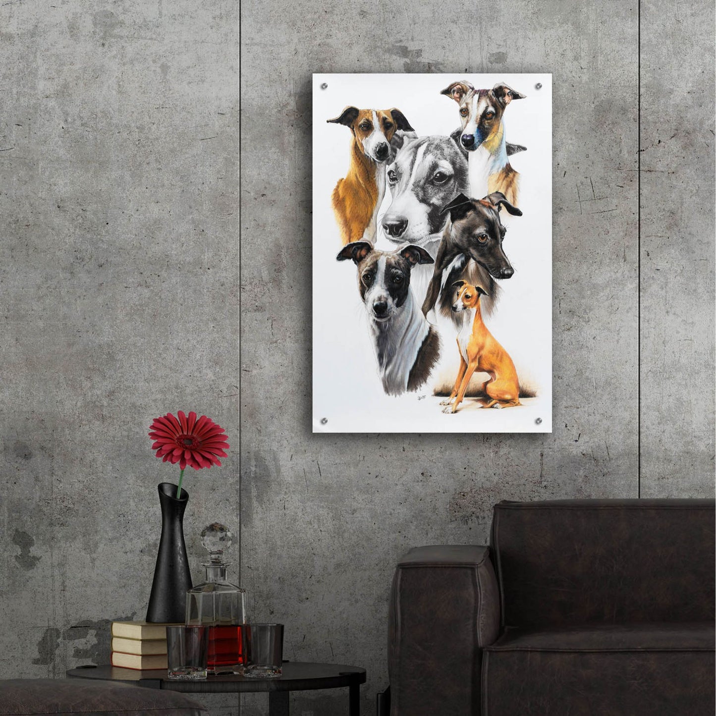 Epic Art 'Italian Greyhound Medley' by Barbara Keith, Acrylic Glass Wall Art,24x36