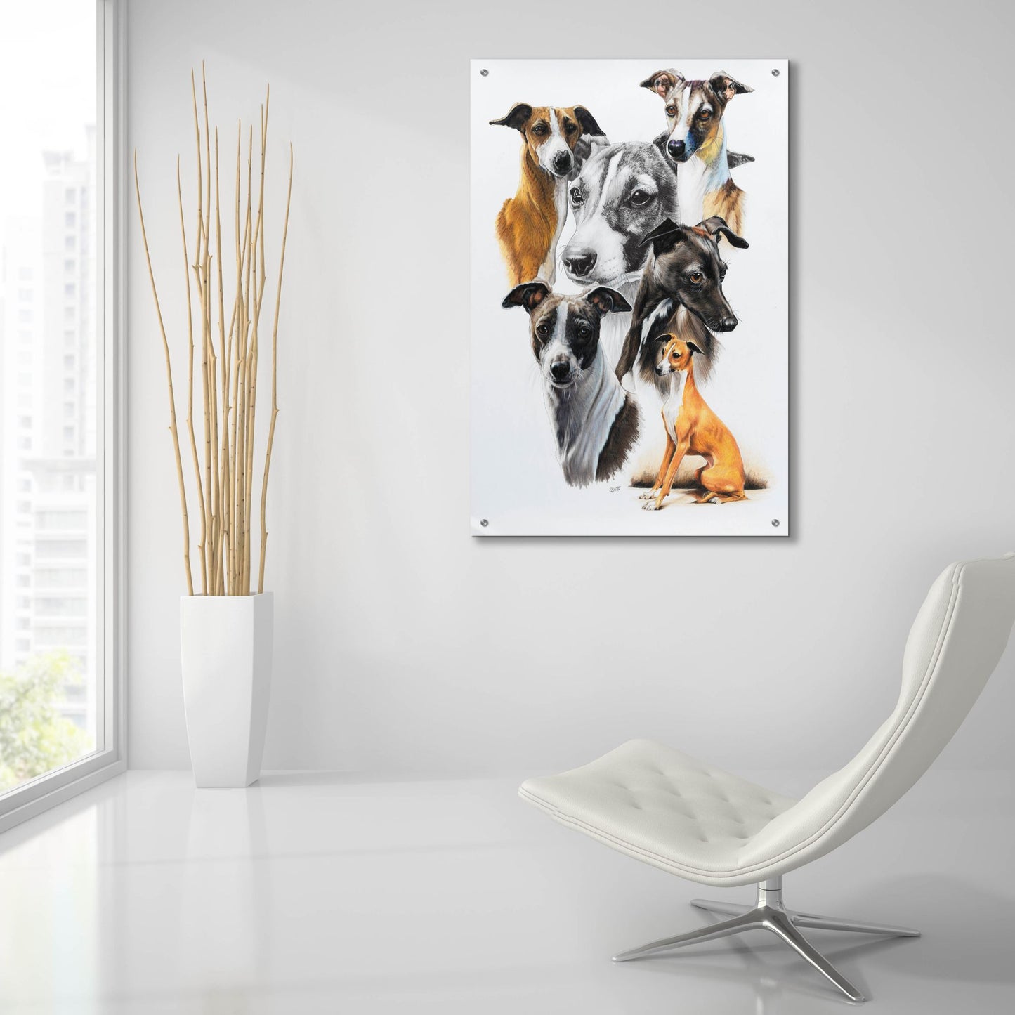 Epic Art 'Italian Greyhound Medley' by Barbara Keith, Acrylic Glass Wall Art,24x36