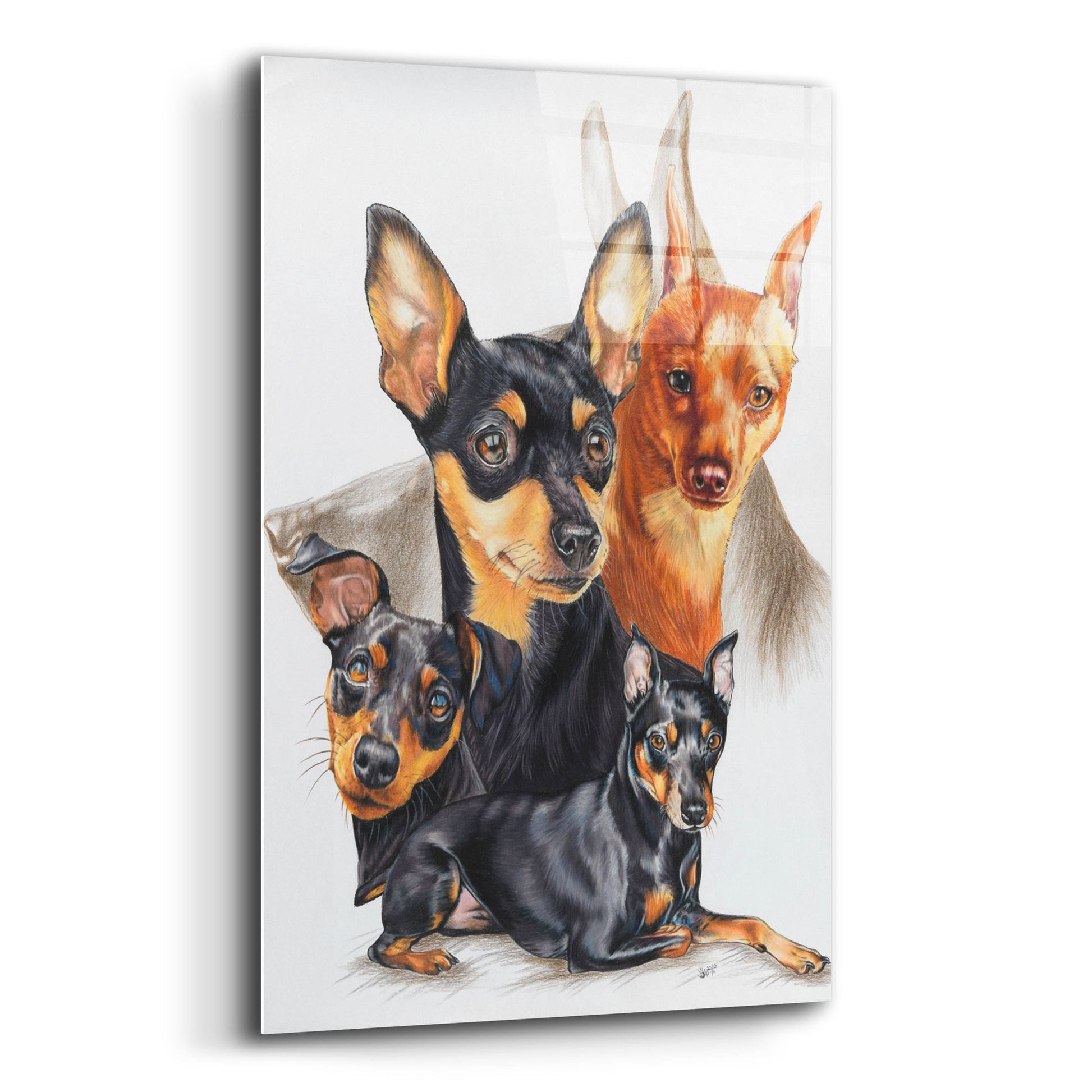 Epic Art 'Miniature Pinscher Medley' by Barbara Keith, Acrylic Glass Wall Art,12x16