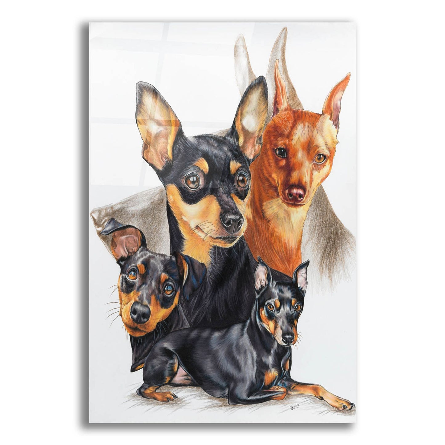 Epic Art 'Miniature Pinscher Medley' by Barbara Keith, Acrylic Glass Wall Art,12x16