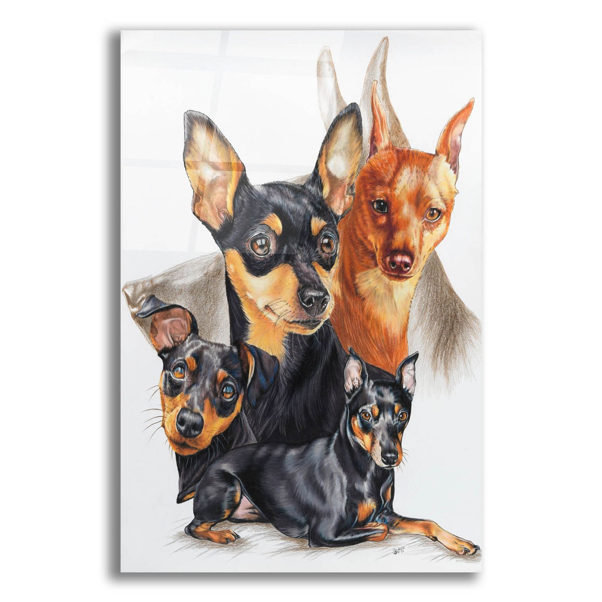 Epic Art 'Miniature Pinscher Medley' by Barbara Keith, Acrylic Glass Wall Art,16x24