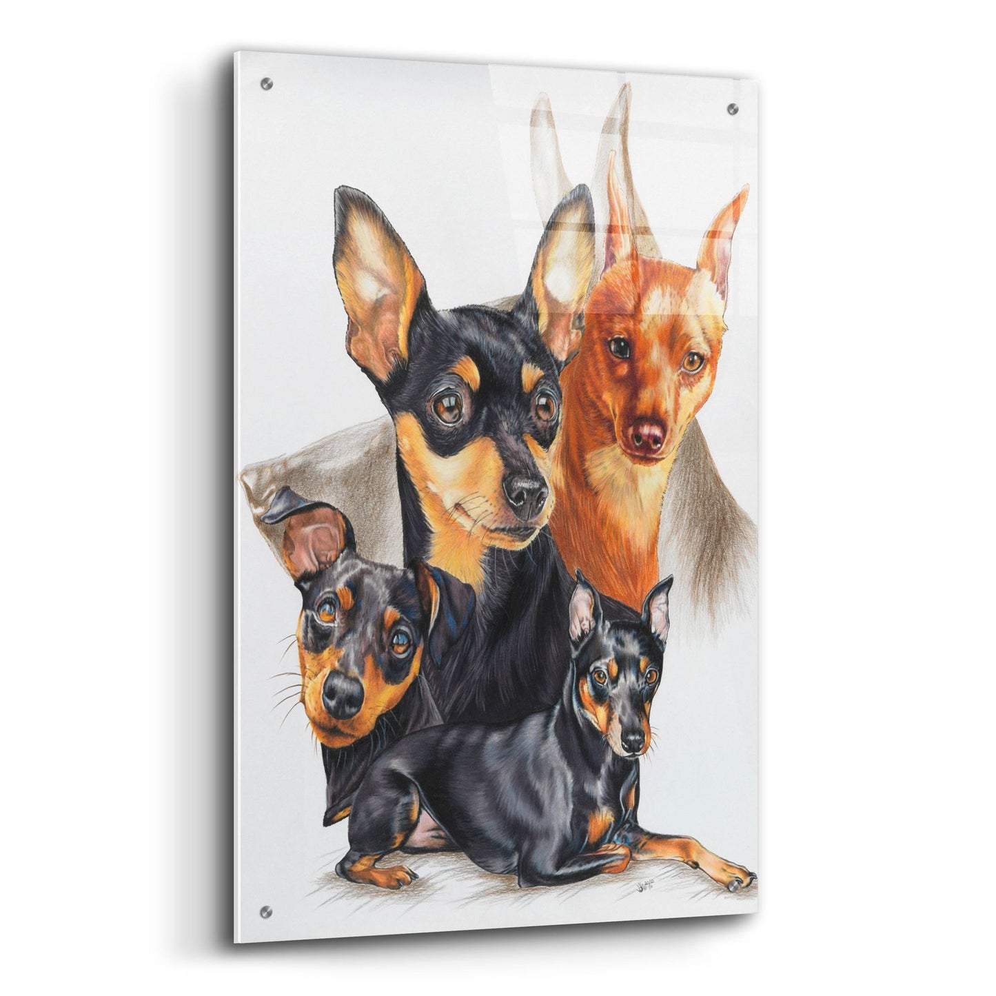 Epic Art 'Miniature Pinscher Medley' by Barbara Keith, Acrylic Glass Wall Art,24x36