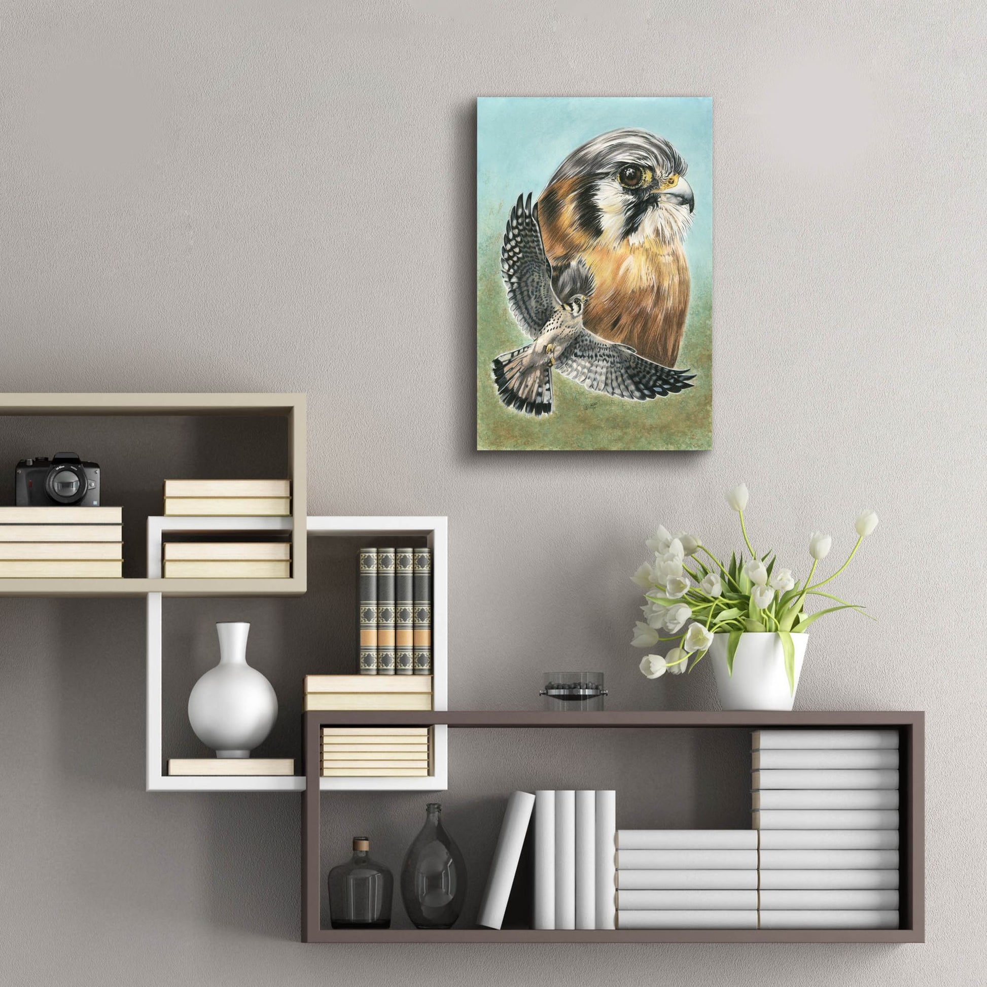 Epic Art 'American Kestrel' by Barbara Keith, Acrylic Glass Wall Art,16x24