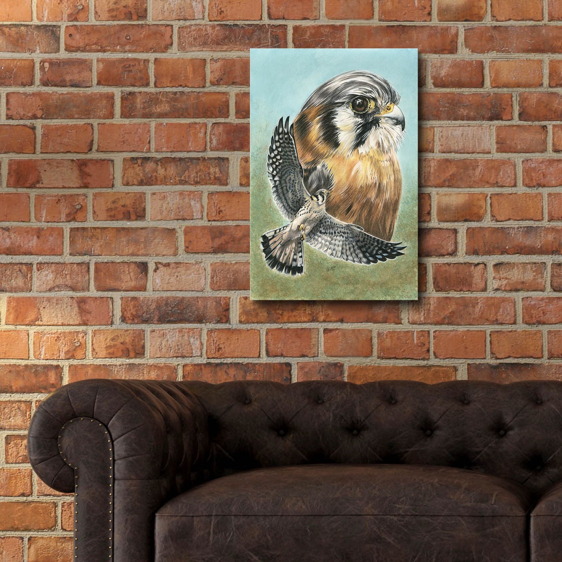 Epic Art 'American Kestrel' by Barbara Keith, Acrylic Glass Wall Art,16x24