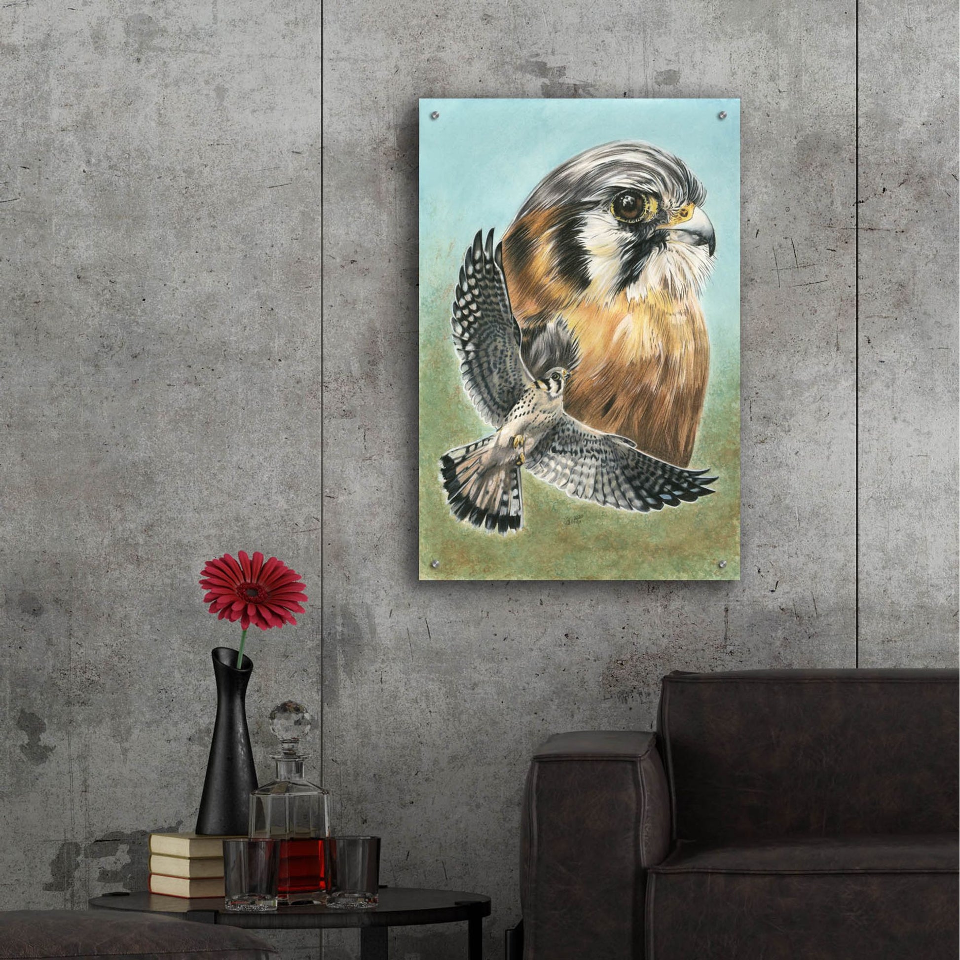 Epic Art 'American Kestrel' by Barbara Keith, Acrylic Glass Wall Art,24x36