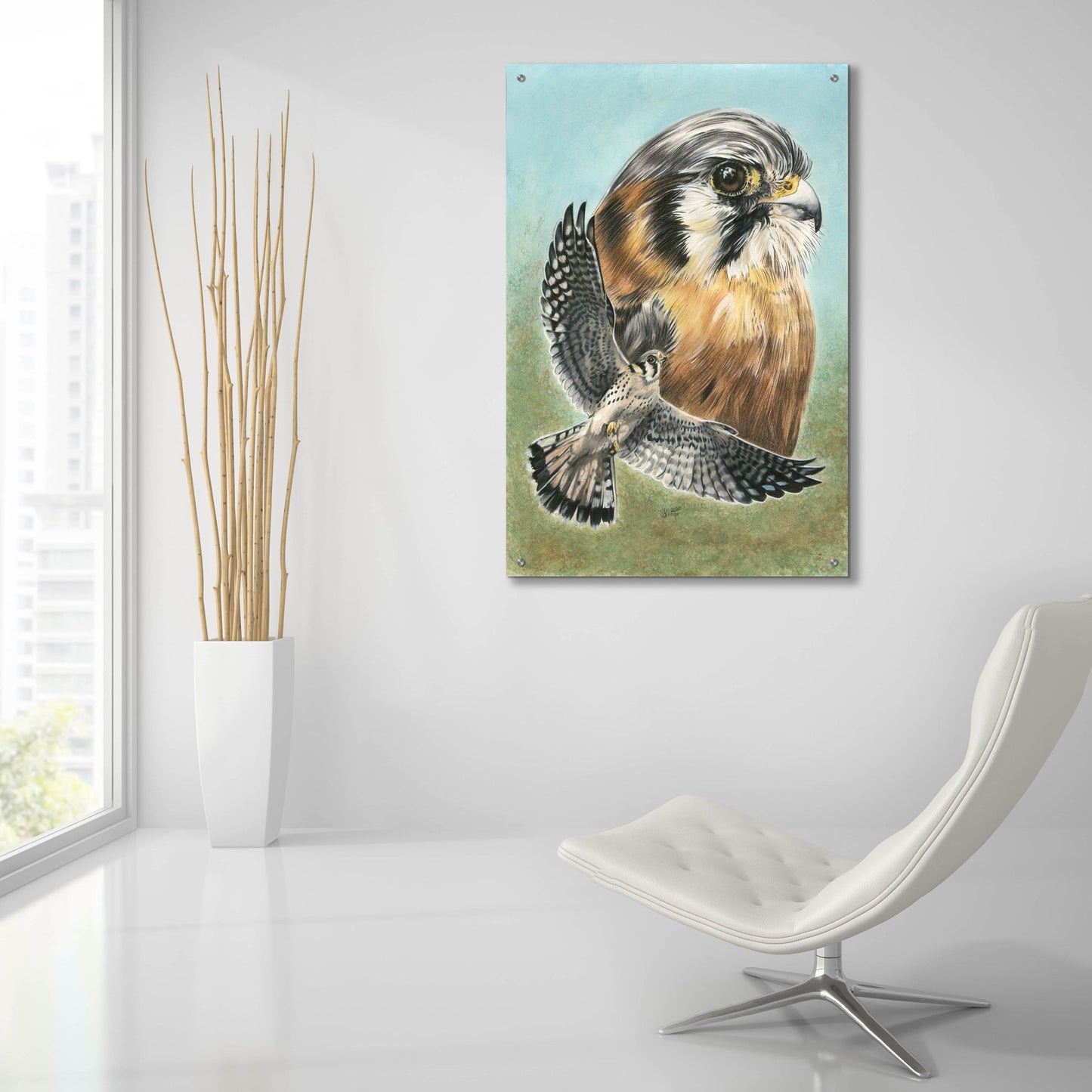 Epic Art 'American Kestrel' by Barbara Keith, Acrylic Glass Wall Art,24x36