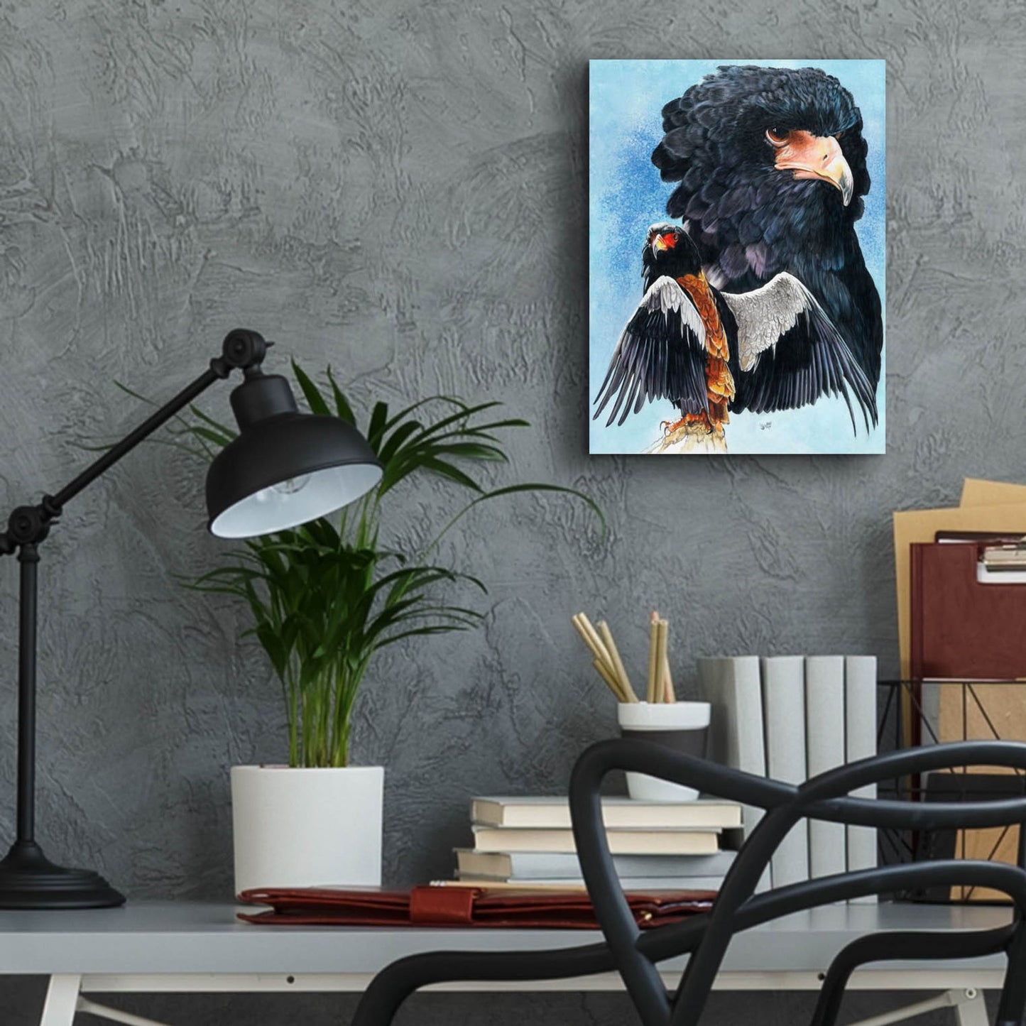 Epic Art 'Bateleur Eagle' by Barbara Keith, Acrylic Glass Wall Art,12x16