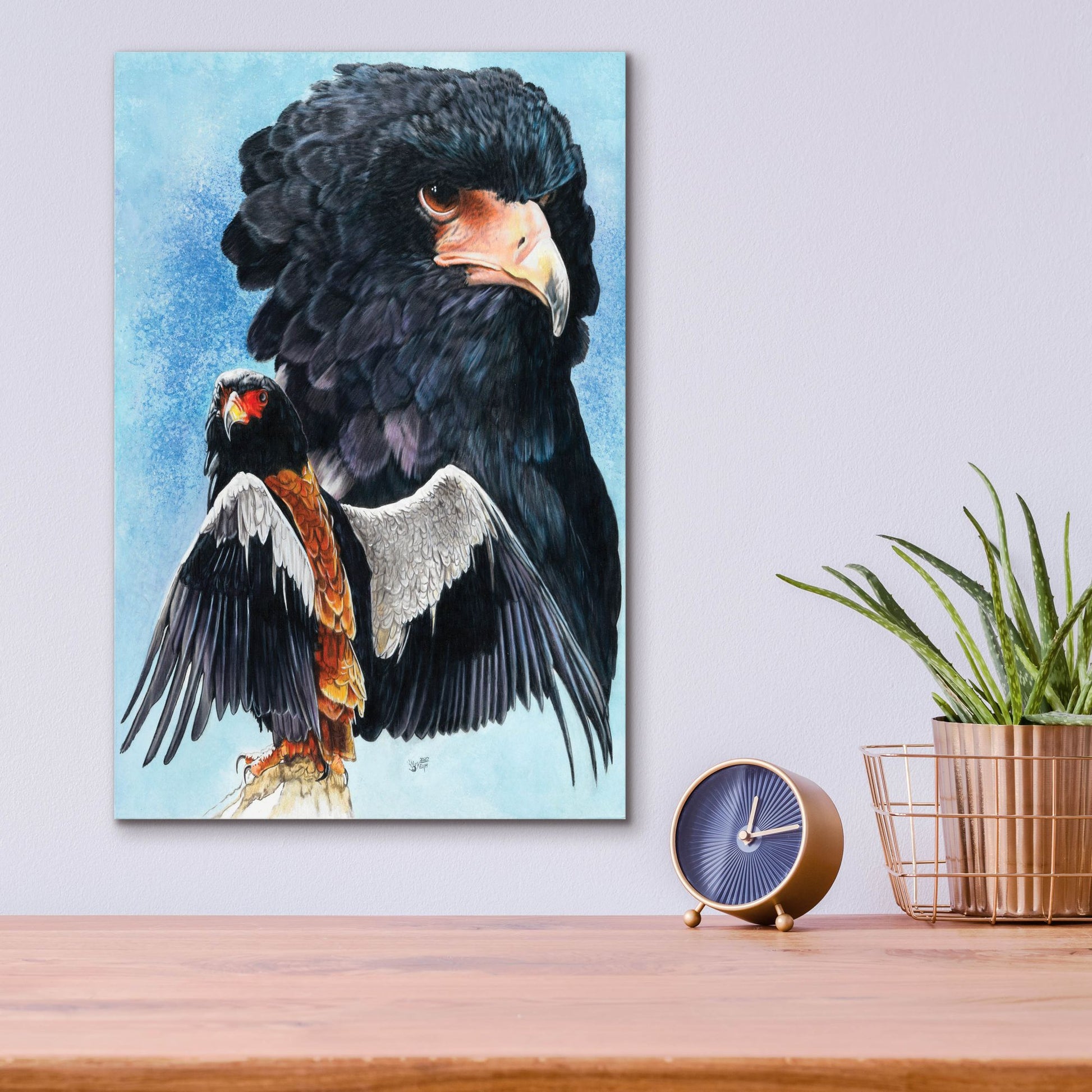 Epic Art 'Bateleur Eagle' by Barbara Keith, Acrylic Glass Wall Art,12x16