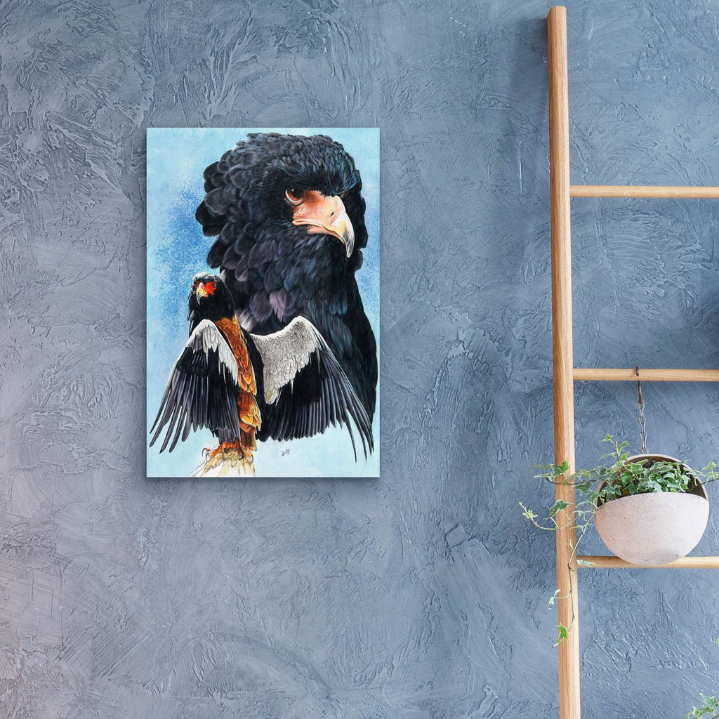 Bateleur Eagle by Barbara Keith - 16x24 acrylic wall art in a room