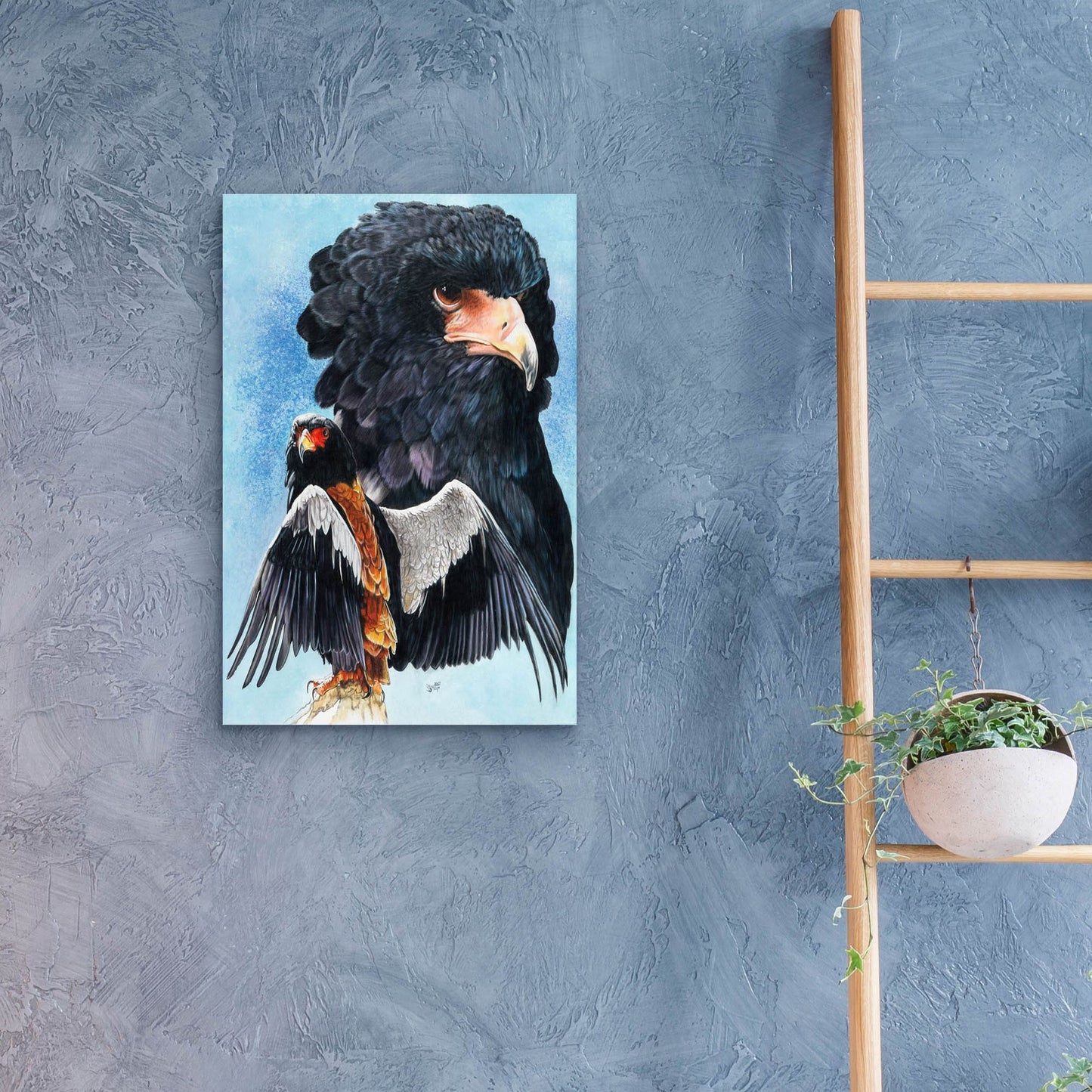 Epic Art 'Bateleur Eagle' by Barbara Keith, Acrylic Glass Wall Art,16x24