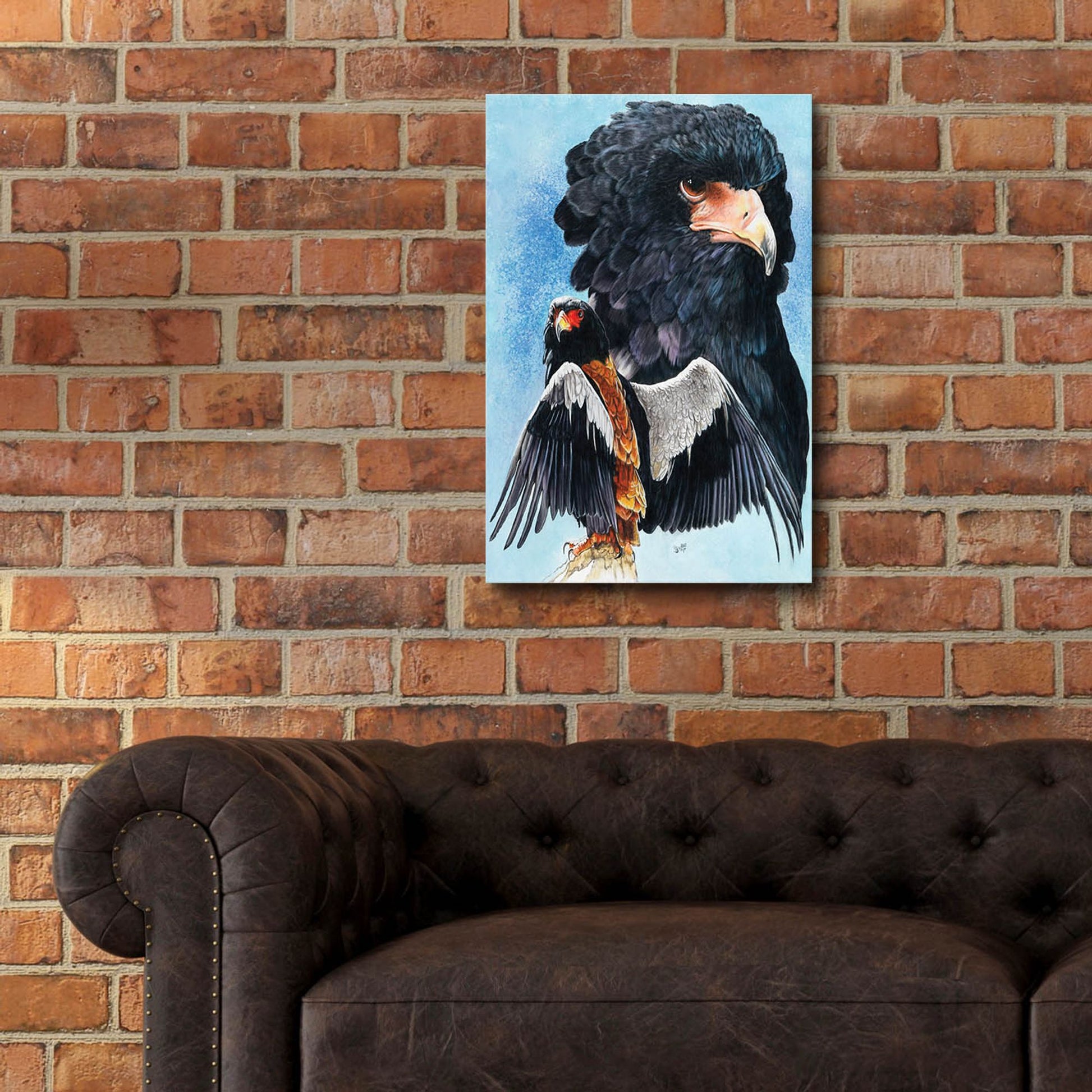 Epic Art 'Bateleur Eagle' by Barbara Keith, Acrylic Glass Wall Art,16x24