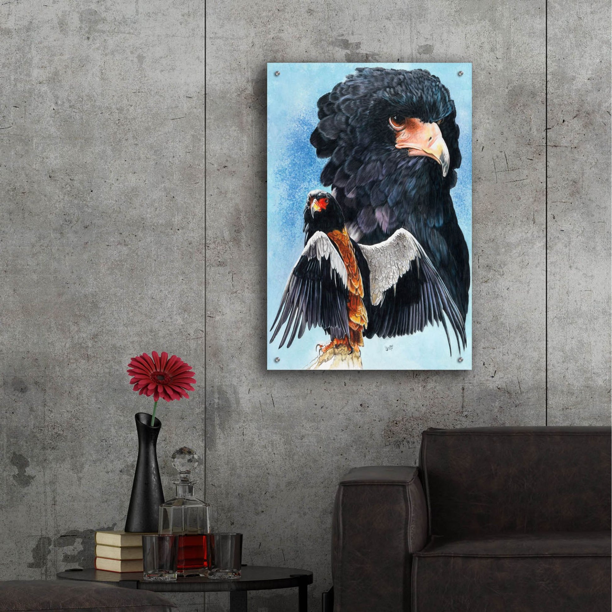 Epic Art 'Bateleur Eagle' by Barbara Keith, Acrylic Glass Wall Art,24x36