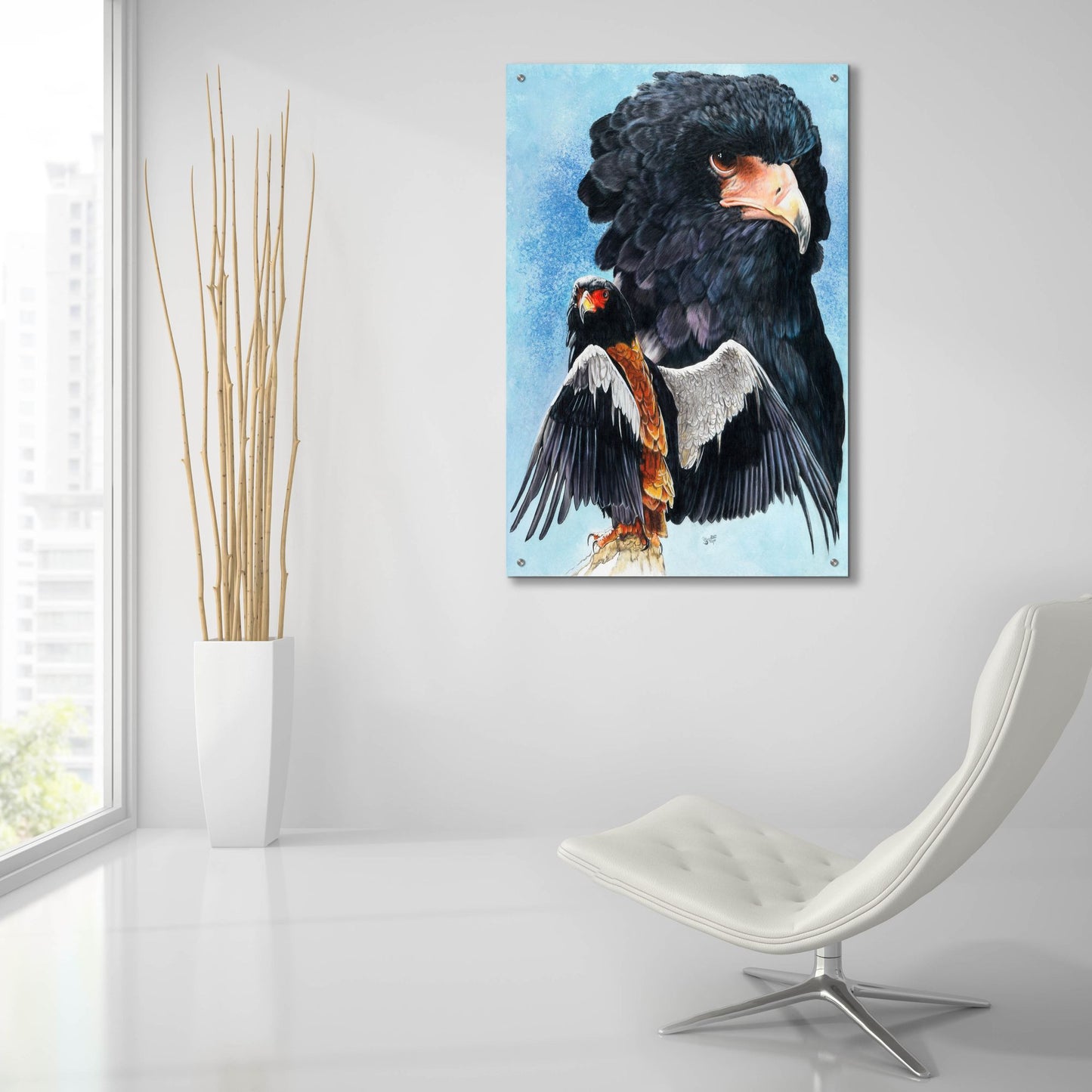 Epic Art 'Bateleur Eagle' by Barbara Keith, Acrylic Glass Wall Art,24x36