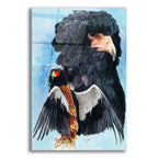 Bateleur Eagle by Barbara Keith acrylic glass wall art