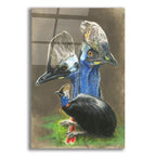 Cassawary by Barbara Keith acrylic glass wall art