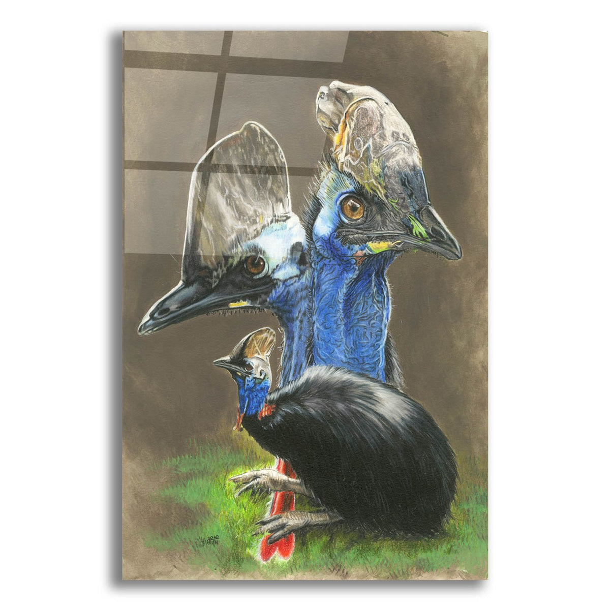 Cassawary by Barbara Keith acrylic glass wall art