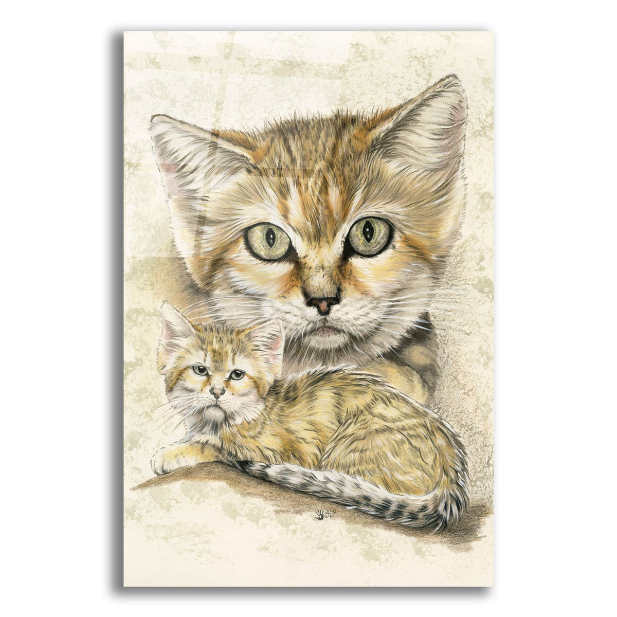 Covert by Barbara Keith acrylic glass wall art