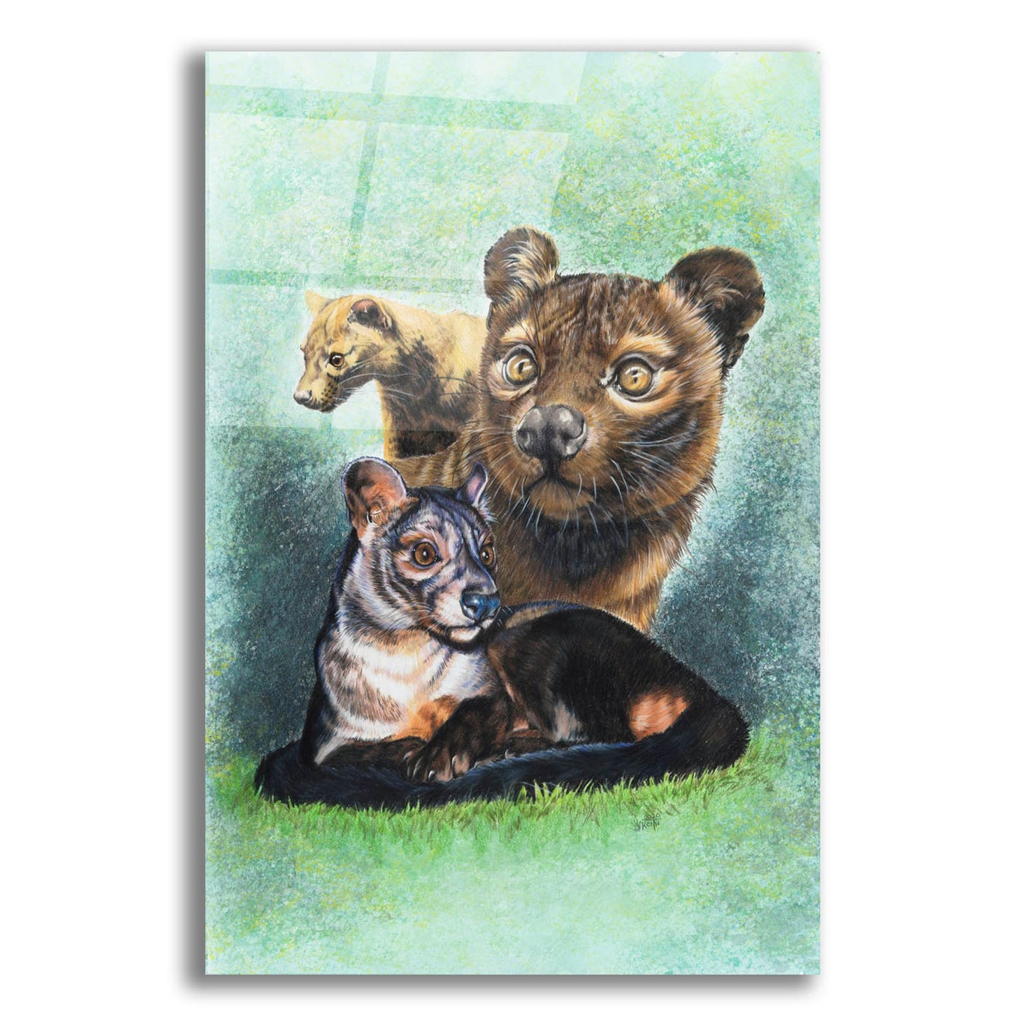 Epic Art 'Fossa' by Barbara Keith, Acrylic Glass Wall Art,12x16