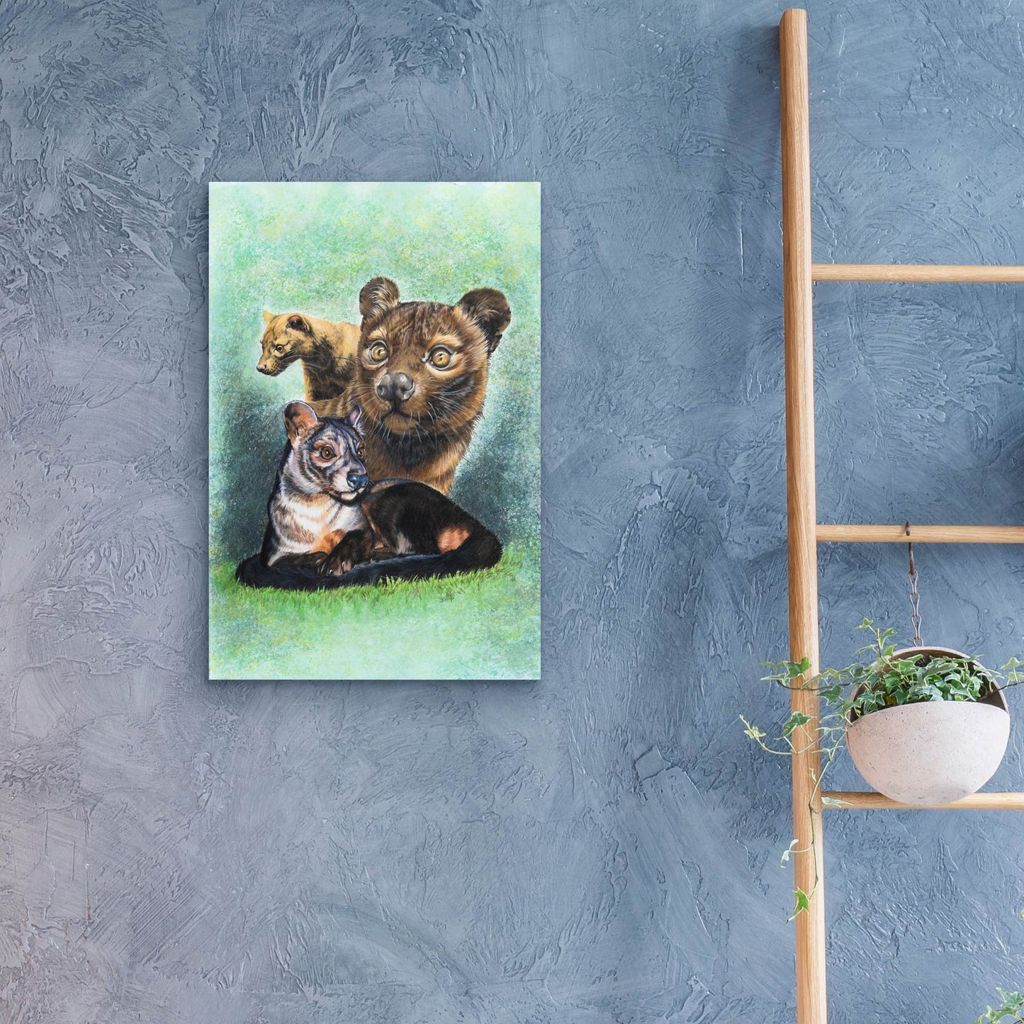 Epic Art 'Fossa' by Barbara Keith, Acrylic Glass Wall Art,16x24