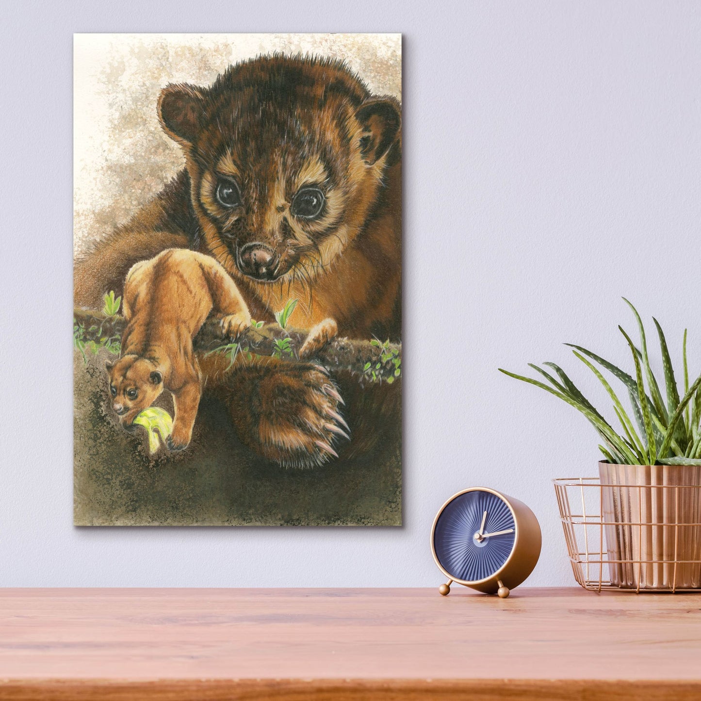 Epic Art 'Kinkajou' by Barbara Keith, Acrylic Glass Wall Art,12x16