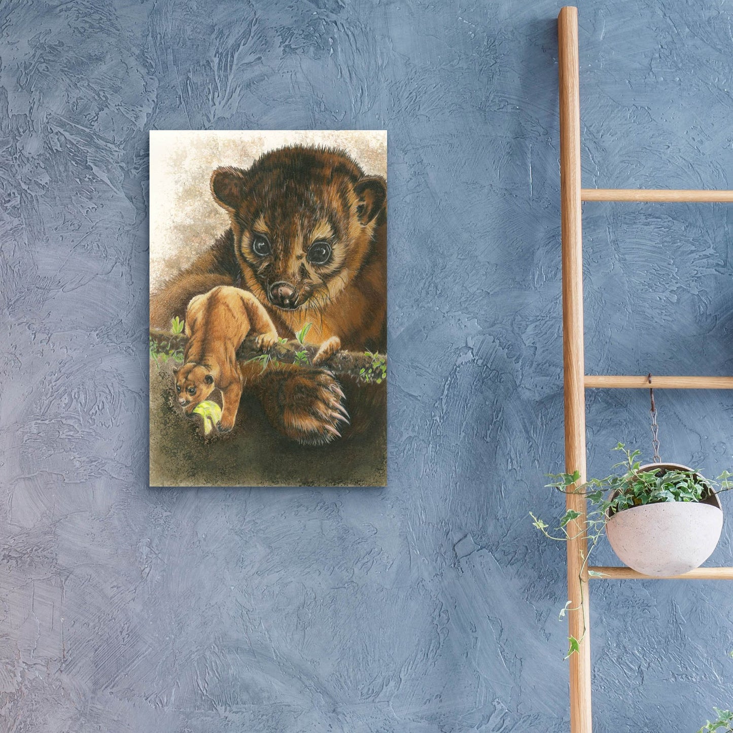 Epic Art 'Kinkajou' by Barbara Keith, Acrylic Glass Wall Art,16x24