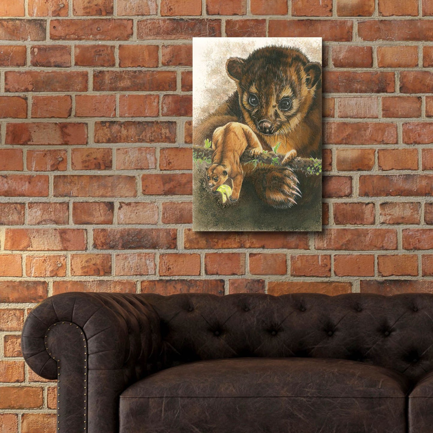 Epic Art 'Kinkajou' by Barbara Keith, Acrylic Glass Wall Art,16x24