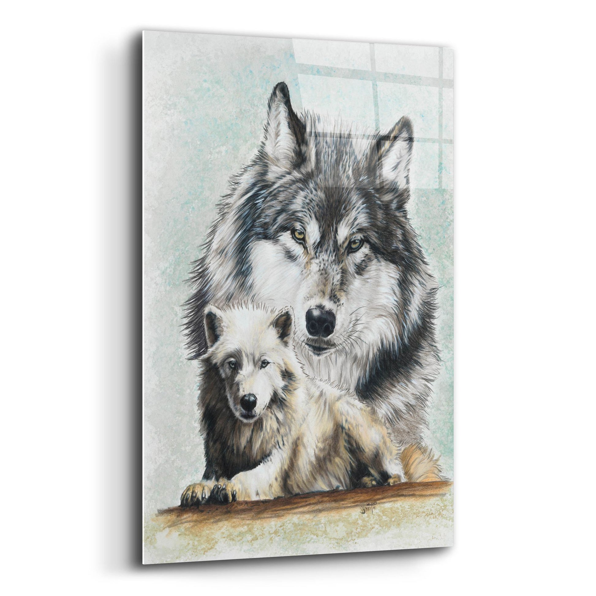 Epic Art 'Tundra Wolf' by Barbara Keith, Acrylic Glass Wall Art,12x16