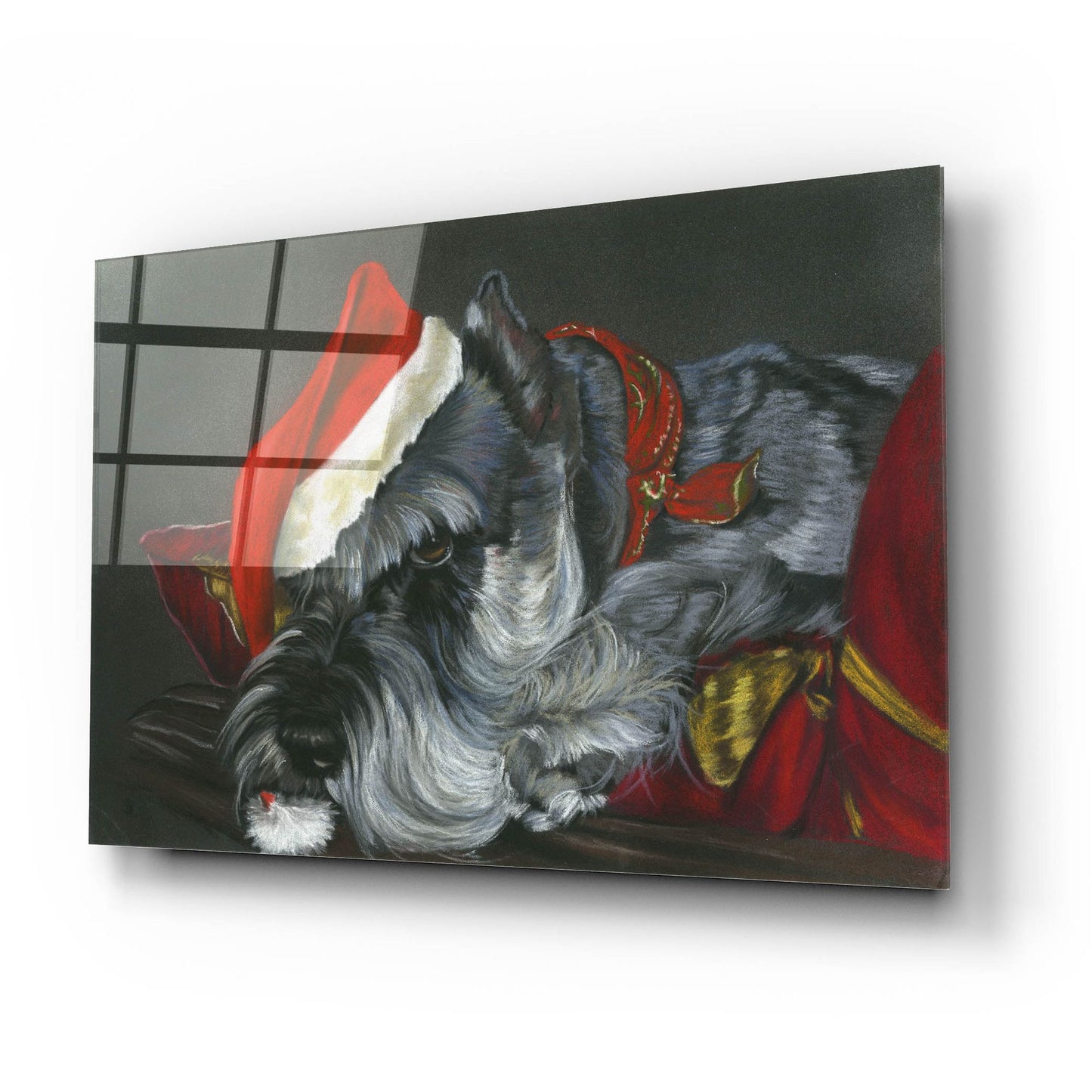 Epic Art 'Grumpy' by Barbara Keith, Acrylic Glass Wall Art,24x16