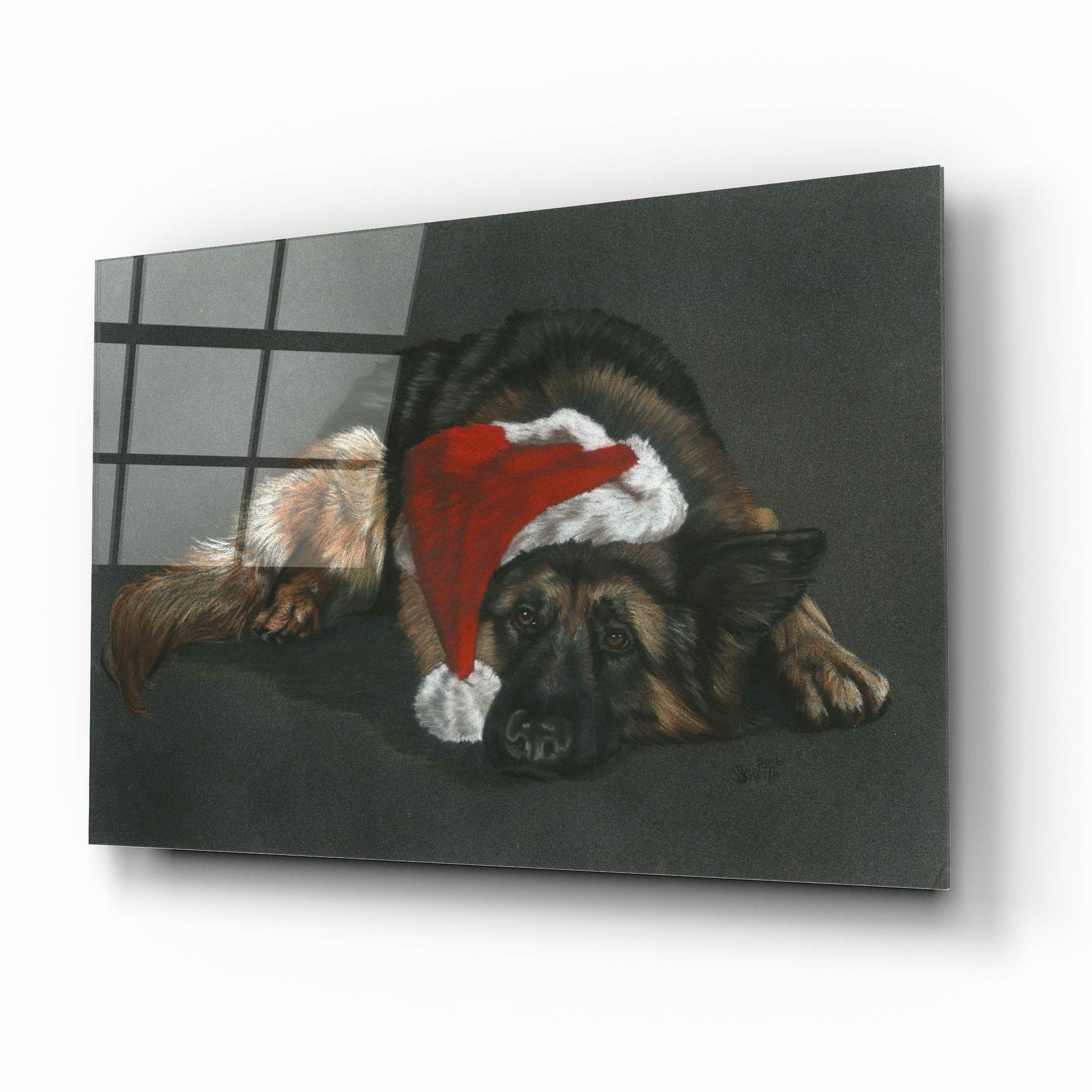 Epic Art 'Weihnachts Hound' by Barbara Keith, Acrylic Glass Wall Art,16x12