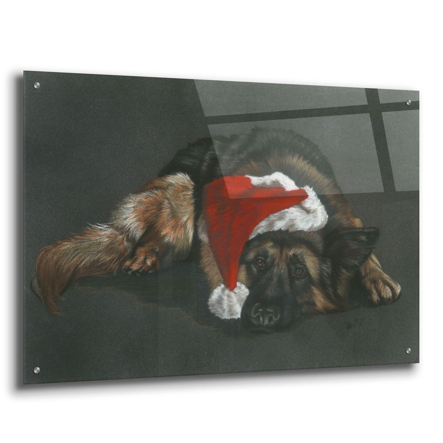 Epic Art 'Weihnachts Hound' by Barbara Keith, Acrylic Glass Wall Art,36x24