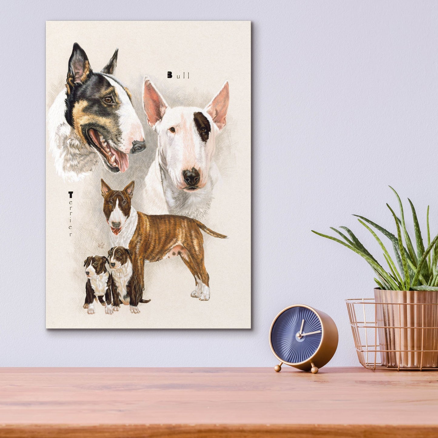 Epic Art 'Bull Terrier' by Barbara Keith, Acrylic Glass Wall Art,12x16