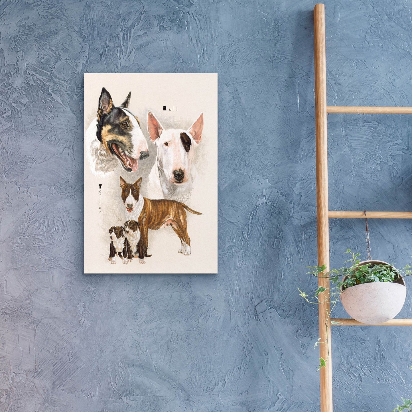 Epic Art 'Bull Terrier' by Barbara Keith, Acrylic Glass Wall Art,16x24