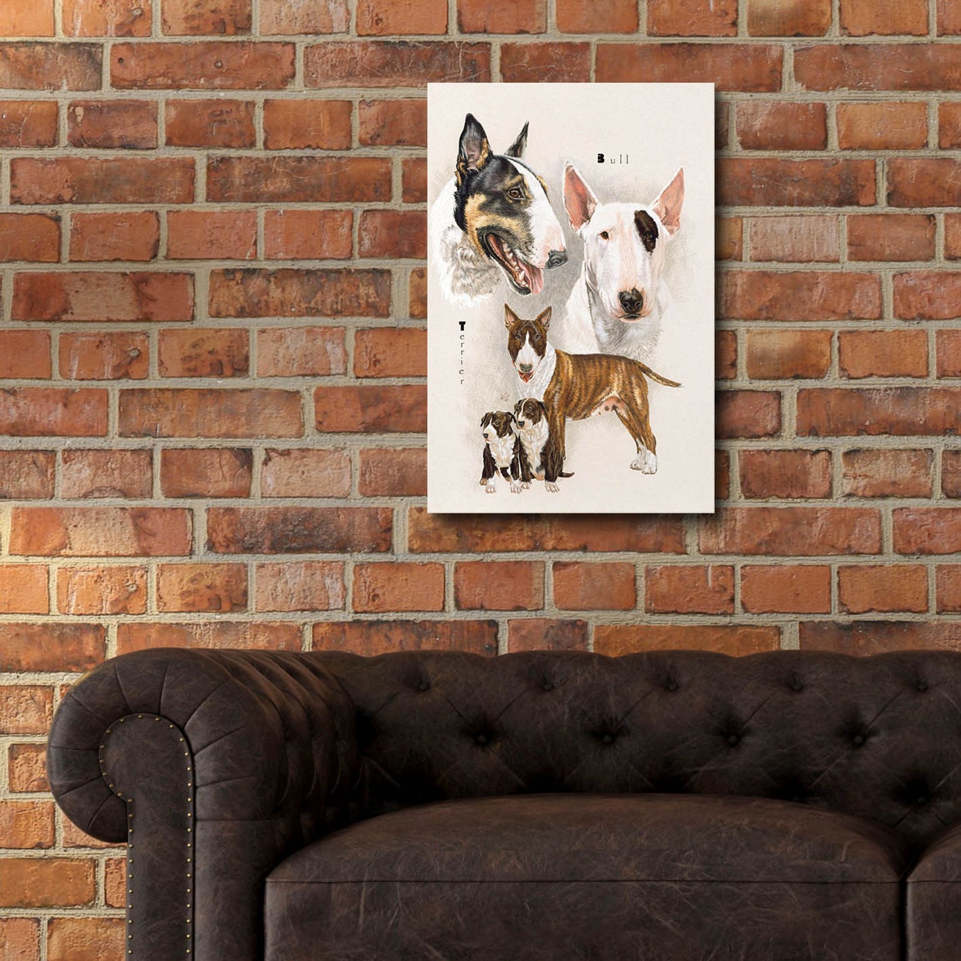 Epic Art 'Bull Terrier' by Barbara Keith, Acrylic Glass Wall Art,16x24