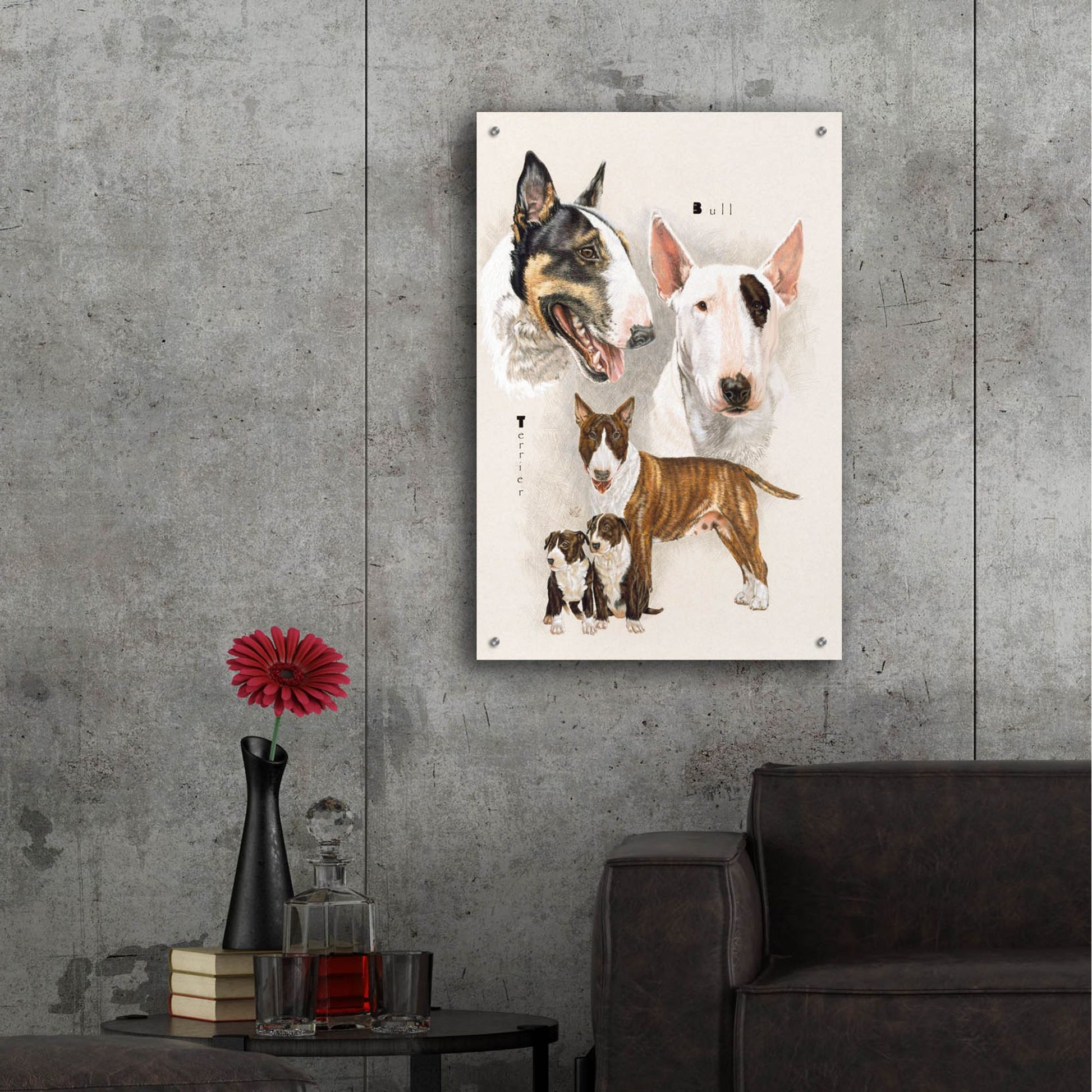 Epic Art 'Bull Terrier' by Barbara Keith, Acrylic Glass Wall Art,24x36