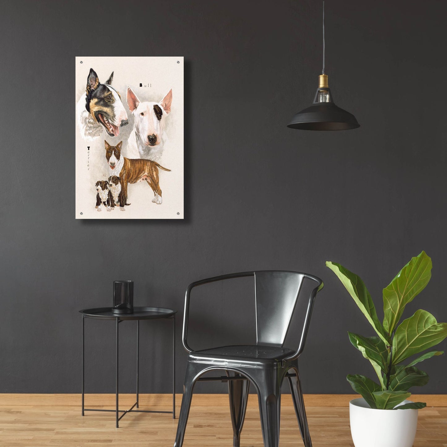 Epic Art 'Bull Terrier' by Barbara Keith, Acrylic Glass Wall Art,24x36