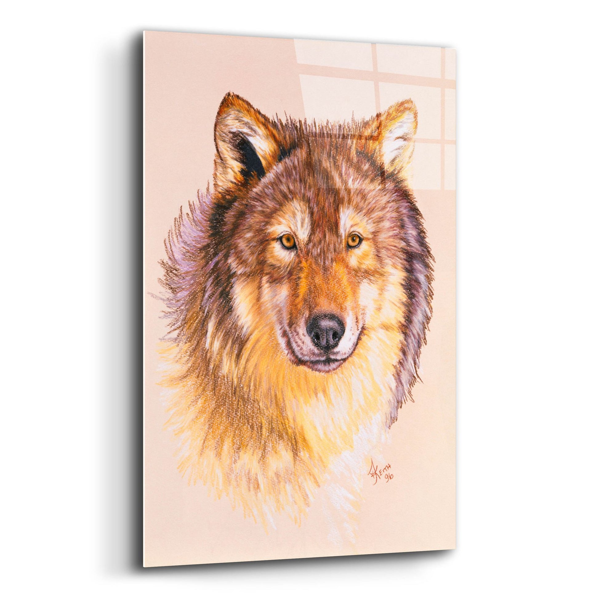 Epic Art 'Lobo' by Barbara Keith, Acrylic Glass Wall Art,12x16