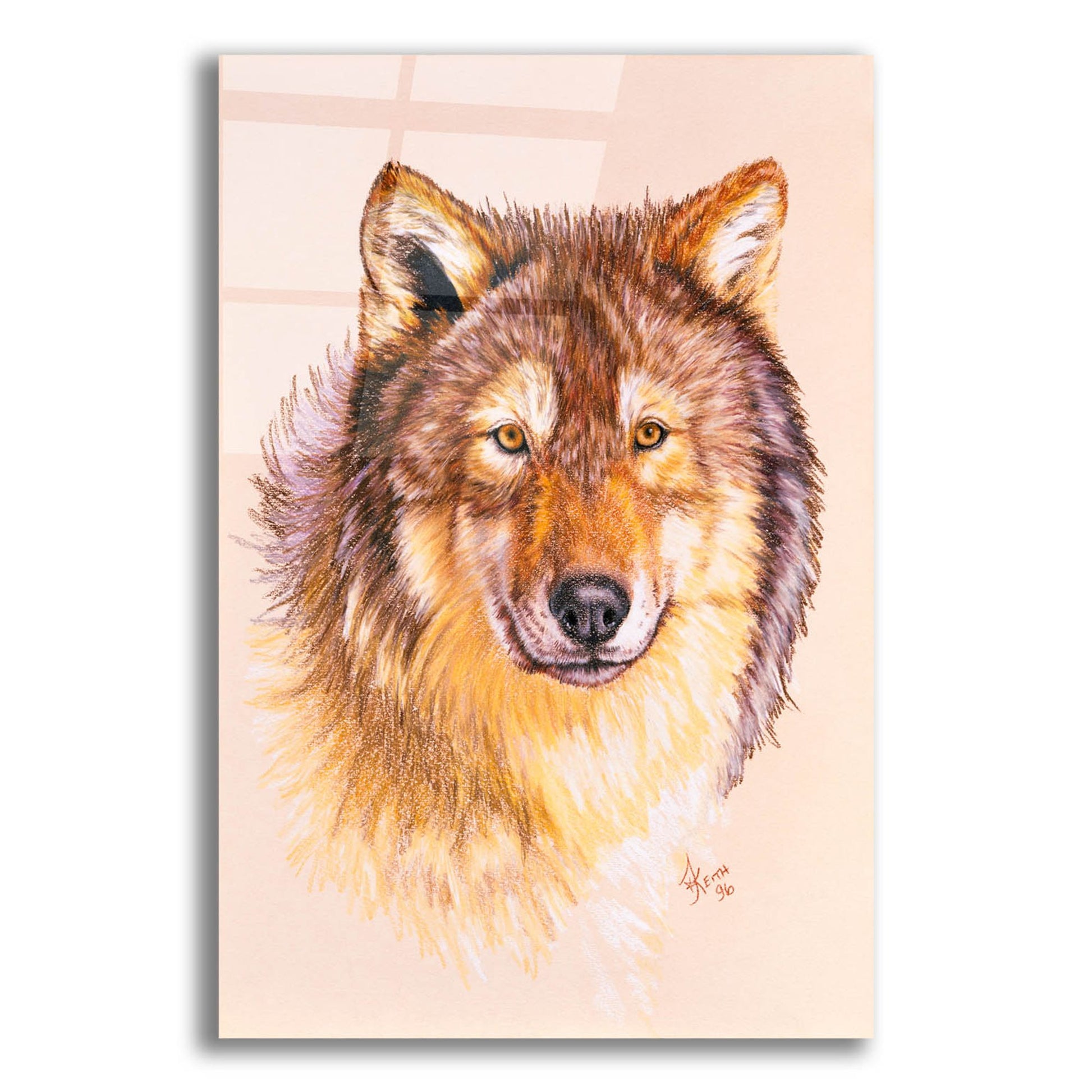 Epic Art 'Lobo' by Barbara Keith, Acrylic Glass Wall Art,12x16