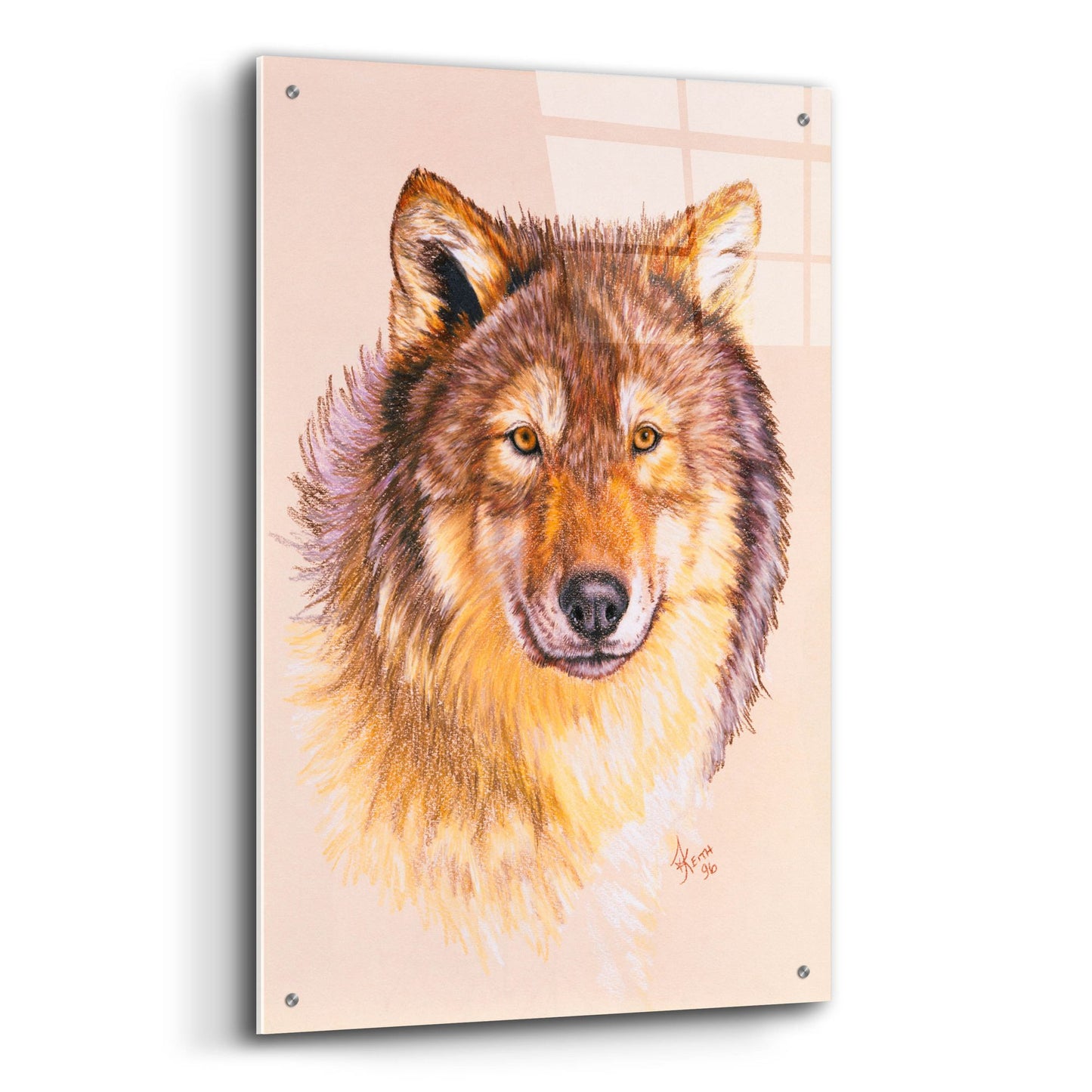 Epic Art 'Lobo' by Barbara Keith, Acrylic Glass Wall Art,24x36