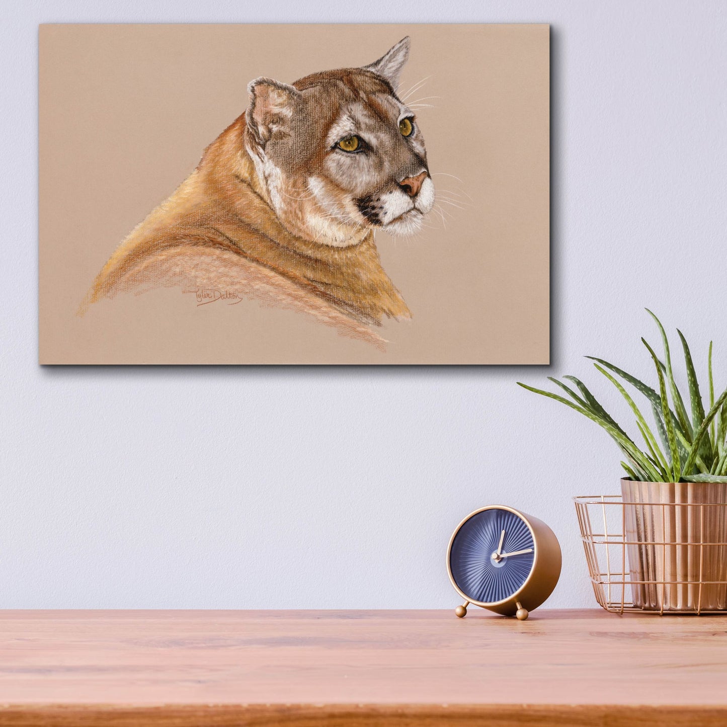 Epic Art 'Cougar' by Barbara Keith, Acrylic Glass Wall Art,16x12