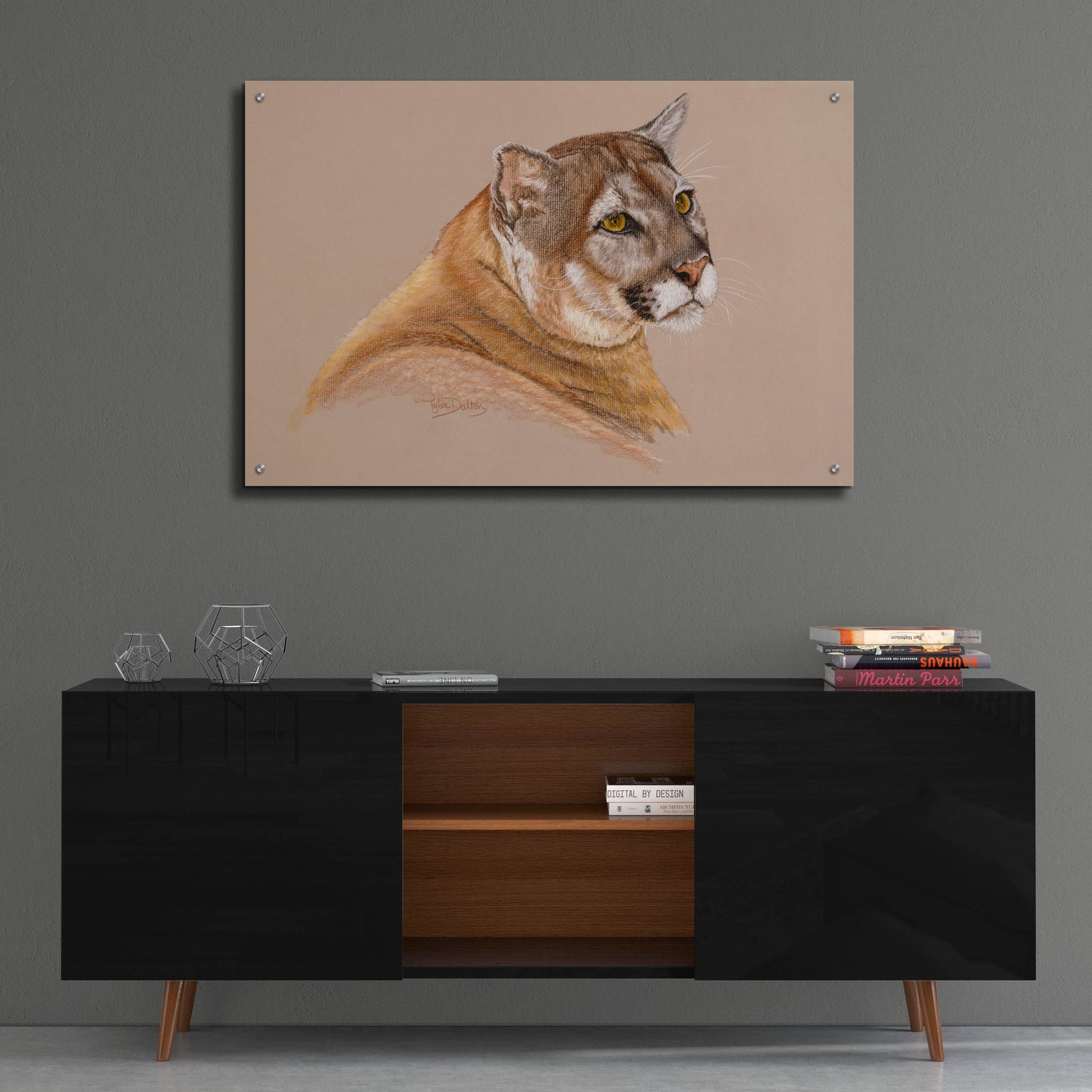 Epic Art 'Cougar' by Barbara Keith, Acrylic Glass Wall Art,36x24